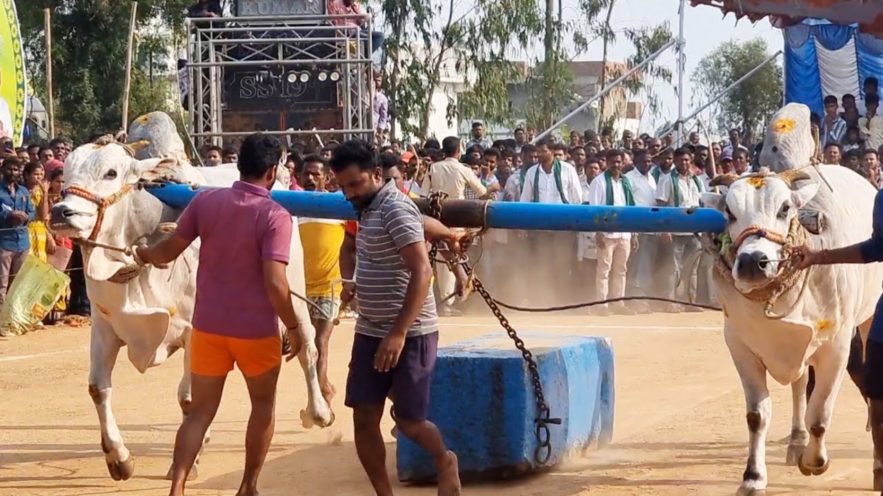 దేవుని పడకల్ సీనియర్స్ విభాగం బండలాగుడు పోటీలు 4వ జత RR బుల్స్ రోహన్ బాబ హైదరాబాద్