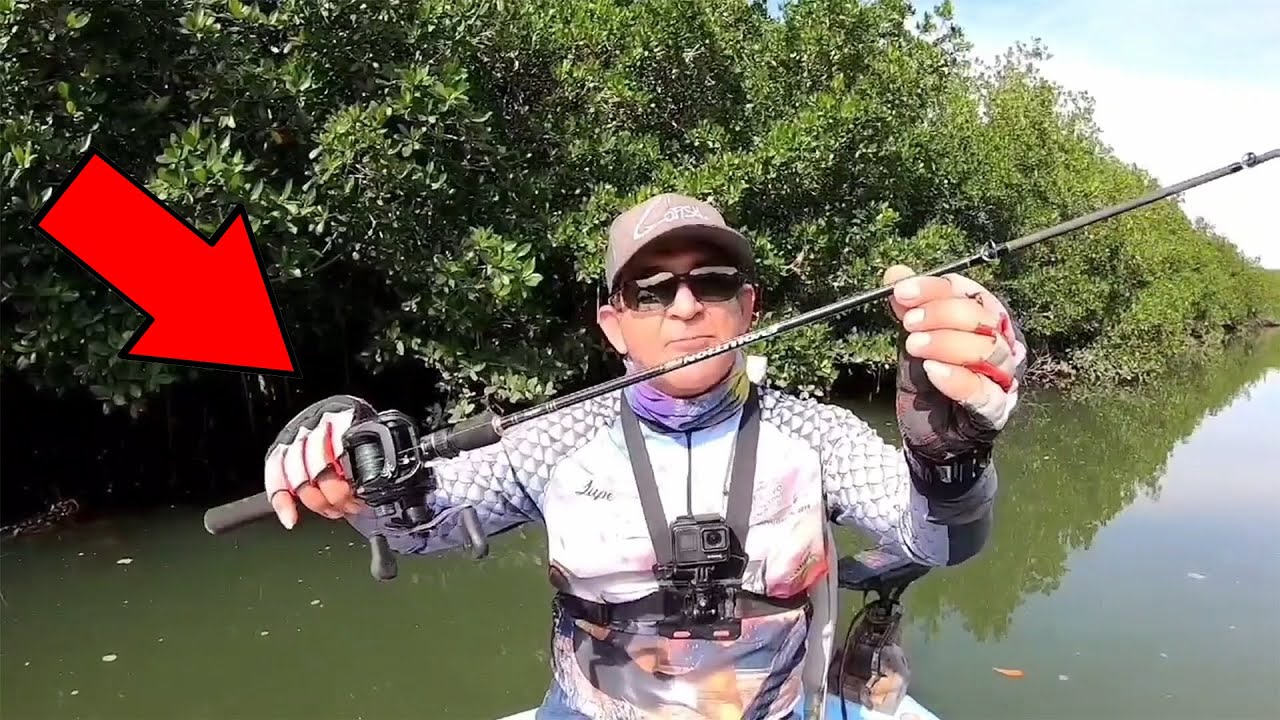 LA MEJOR CAÑA PARA PESCAR en MANGLAR