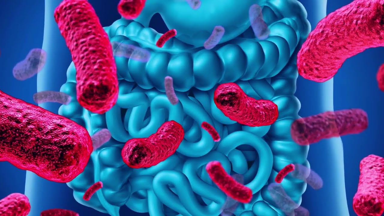 PREGUNTA A UN CIENTÍFICO@. INVISIBLES PERO PODEROSOS: UNIVERSO MICROBIOTA