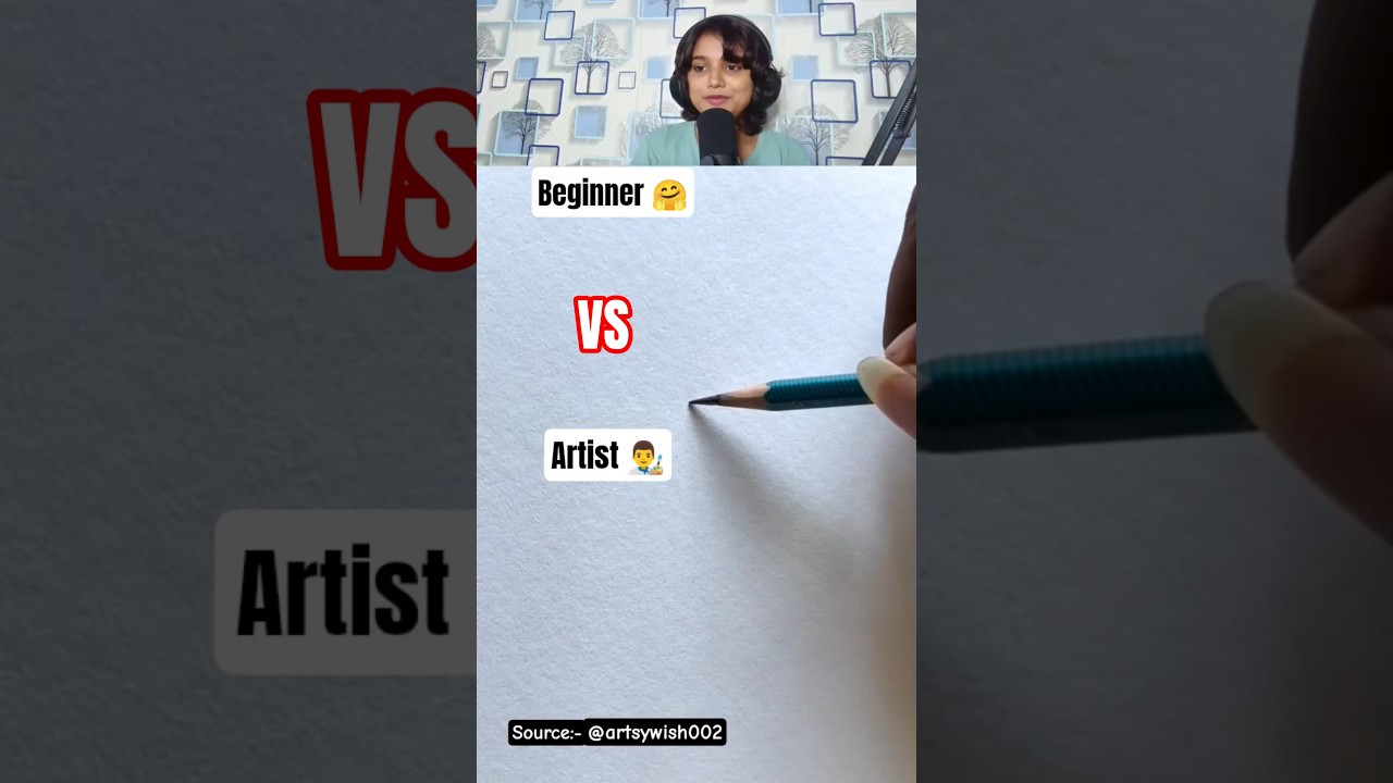 Beginner 🤗 VS Artist 👨‍🎨 