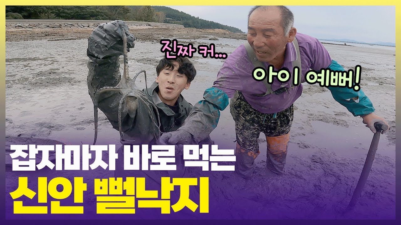 진흙 탈탈 털어 한입에 넣으면?😳 세상 부드러운 신안 뻘낙지 [6시 내고향] | KBS 241030 방송