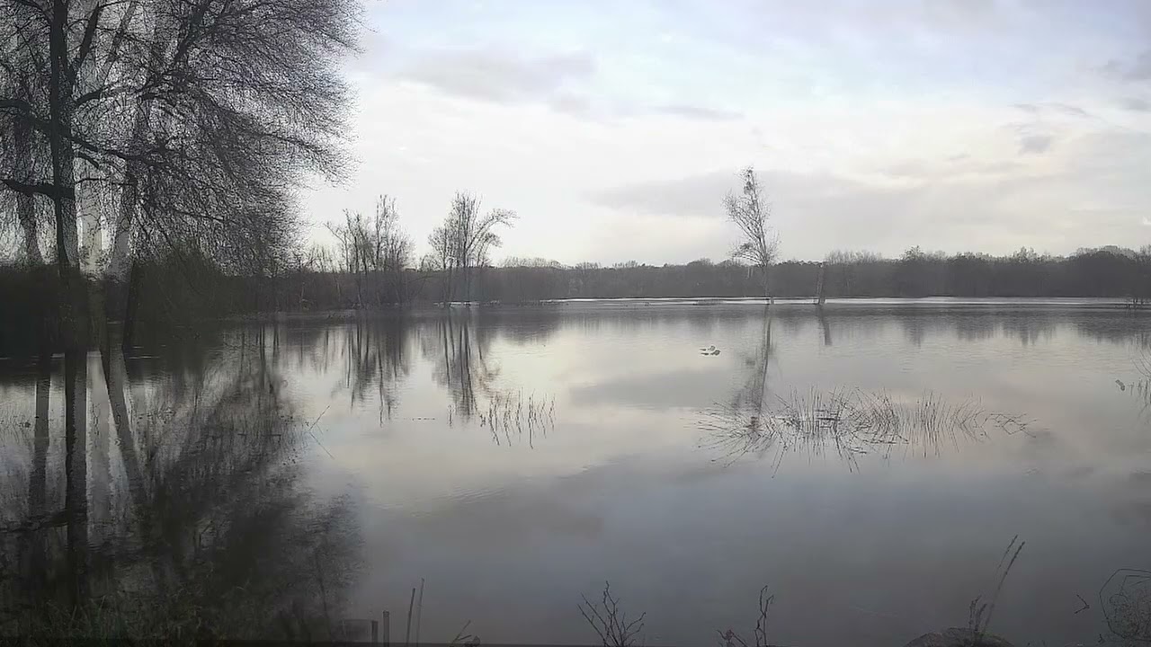 Une journée du marais de Couesnongle