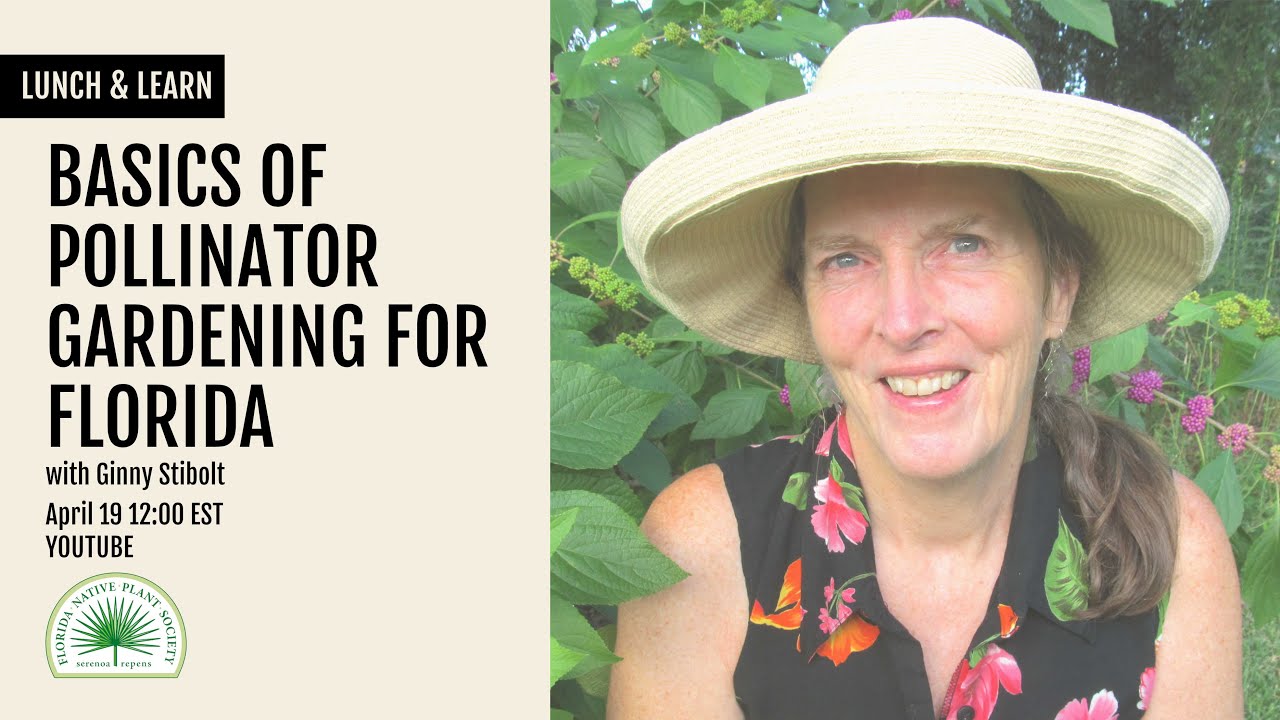 Basics of Pollinator Gardening for Florida