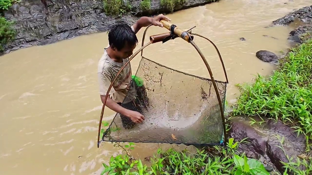 Menagkap ikan sehabis banjir hasilnya langsung kita masak teman