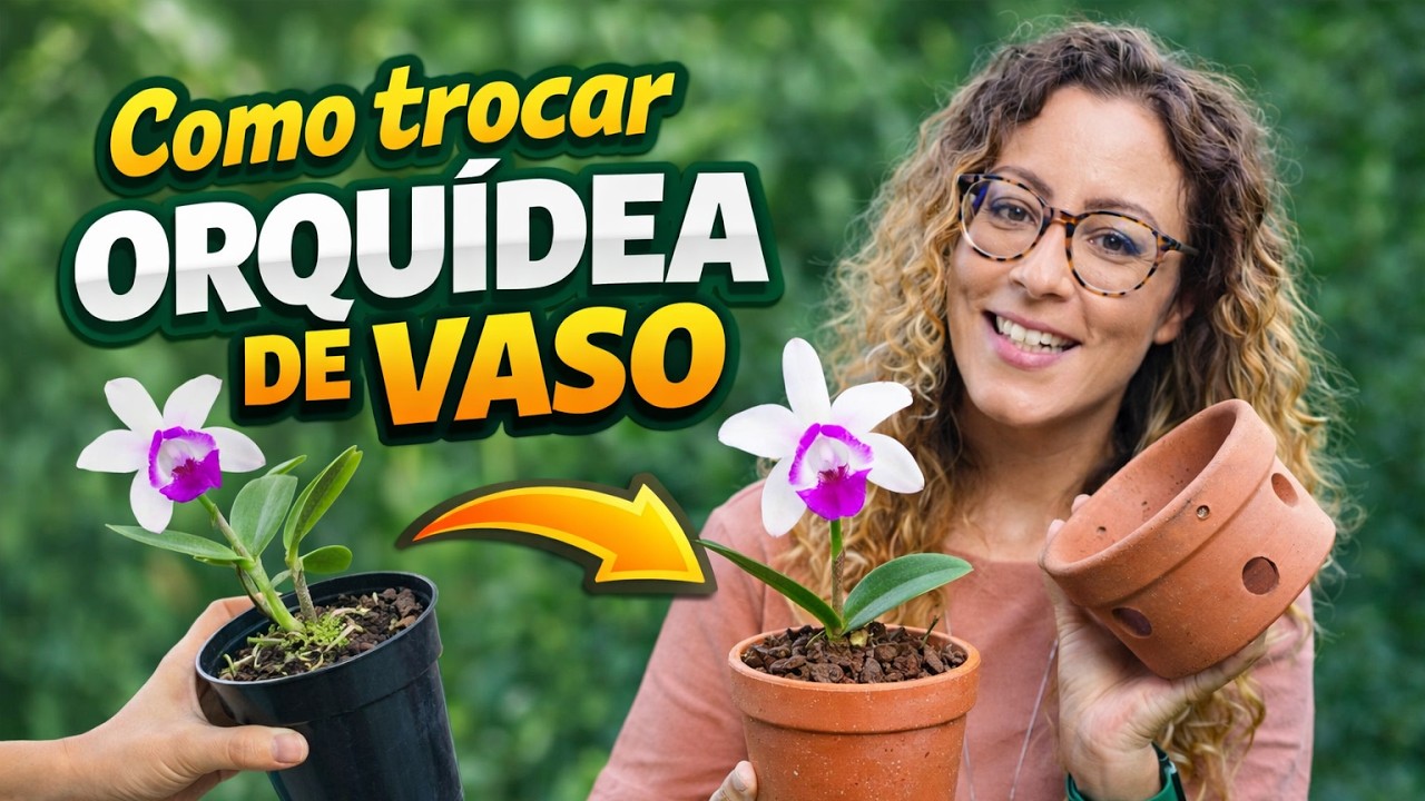 Como TROCAR ORQUÍDEA de VASO