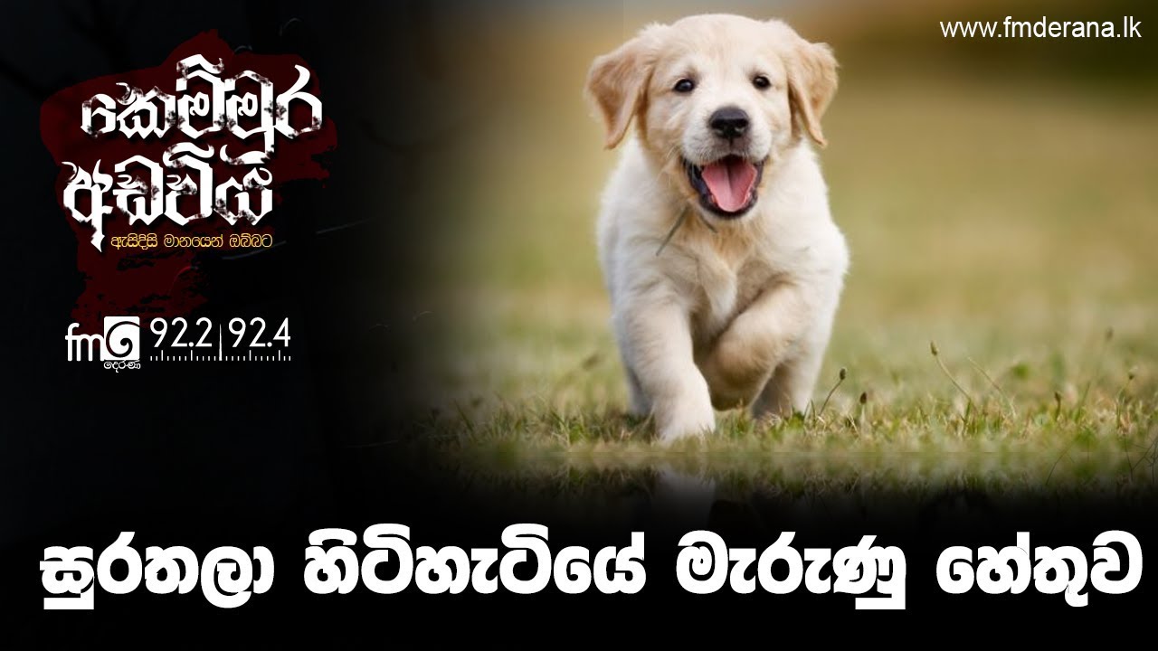 සුරතලා හිටිහැටියේ මැරුණු හේතුව | Kemmura Adaviya | FM Derana