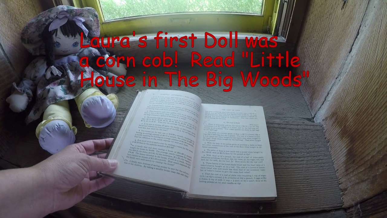 Soddy Home in Minnesota.  Part 1 MN Trip video 6