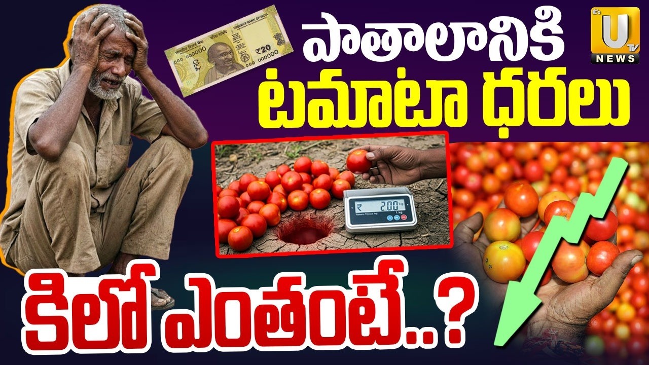 Tomato Price Crash : కిలో టమాట ఎంతంటే.? | Tomato Prices Fall Down | Kurnool Districts | ITS UTV
