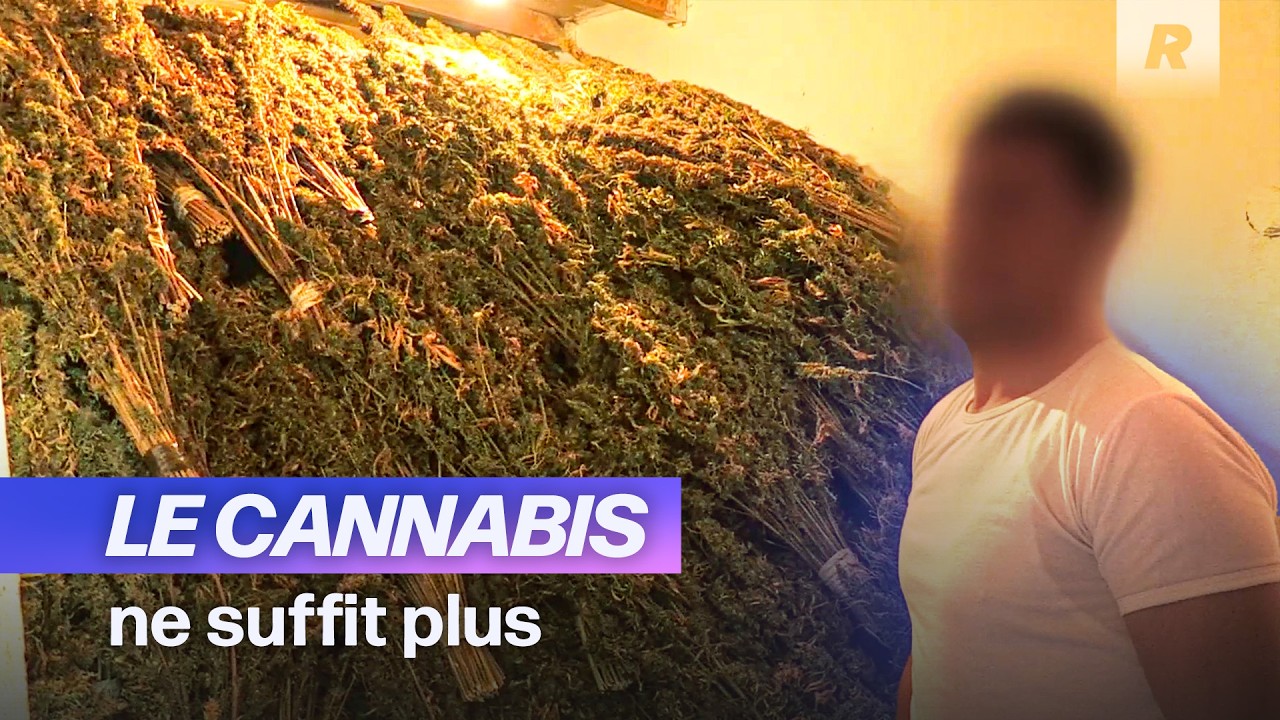 Au Maroc, ces producteurs au bord de la précarité