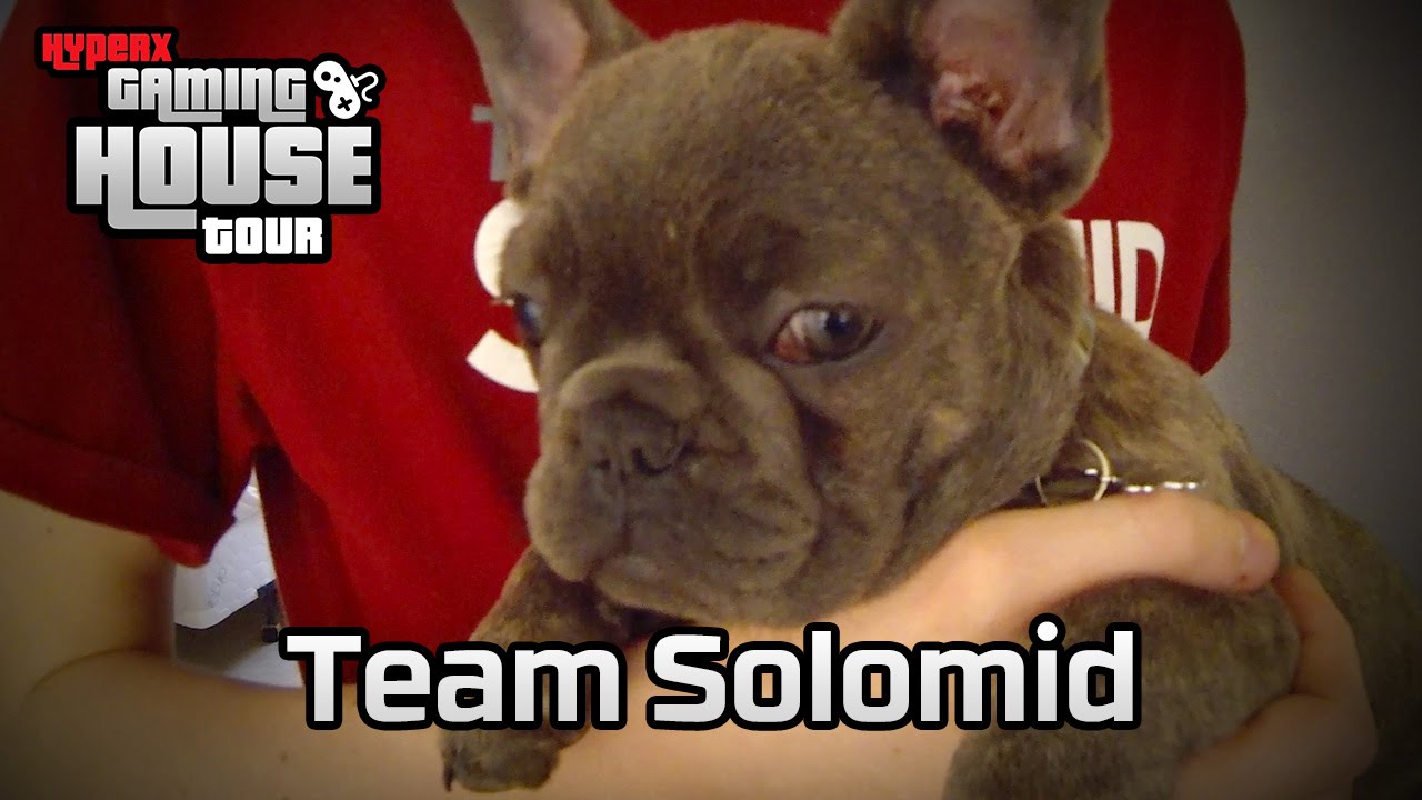 Team Solomid | HyperX Gaming House Tour | LA Edition