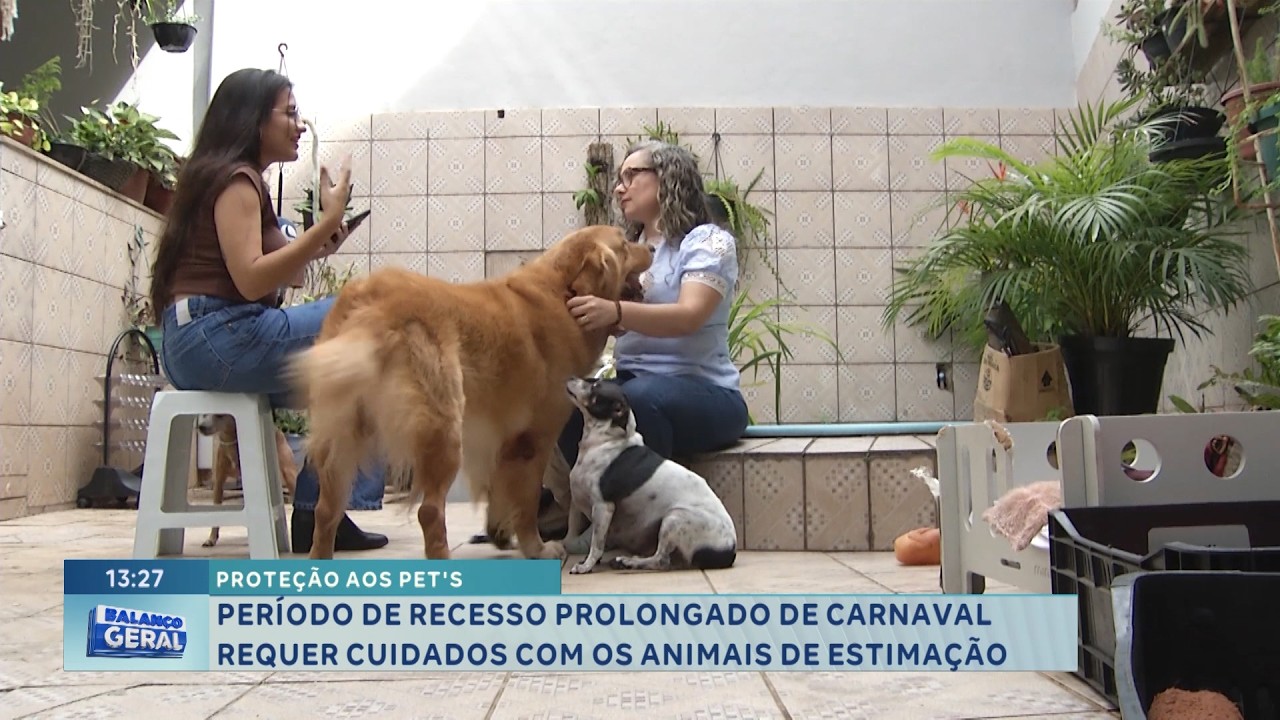 Proteção aos Pets: Carnaval exige cuidados com animais.