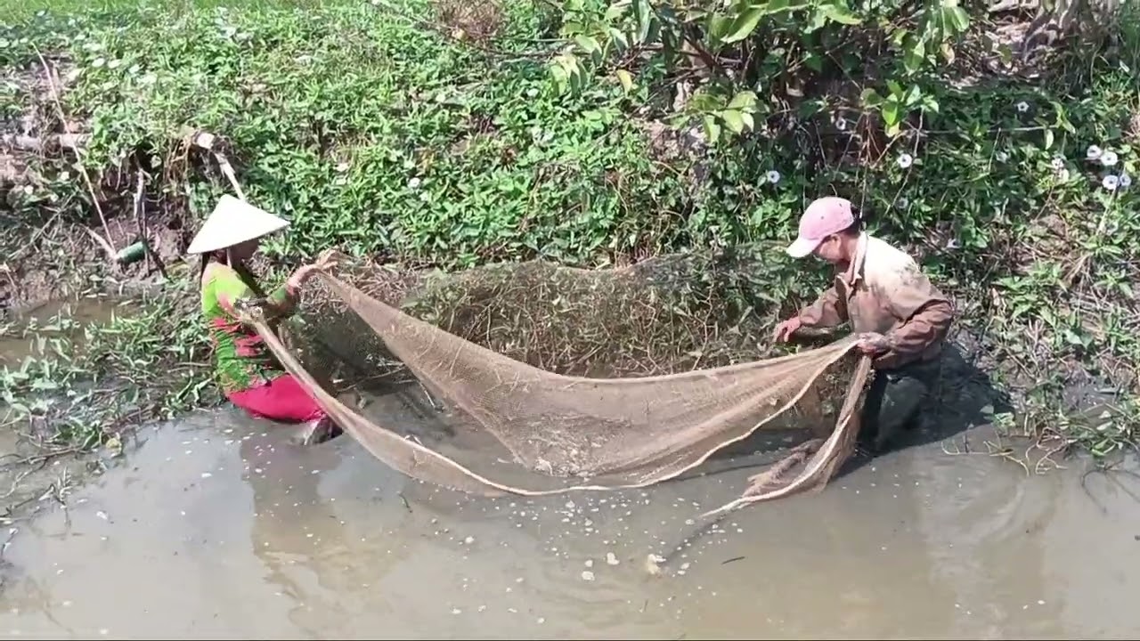 Cuộc sống mưu sinh hàng ngày của người em gái hậu Giang ( phần 1 )