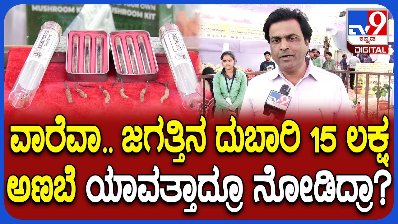 Yarsagumba Mushroom ನ ಕೊಪ್ಪಳ ಹಣ್ಣು ಮೇಳದಲ್ಲಿ ಪದರ್ಶನ.. ಒಂದು ಕೆಜಿಗೆ 15 ಲಕ್ಷ ಅಂತೆ! | #TV9D