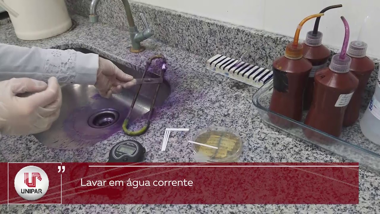 COLORAÇÃO DE GRAM