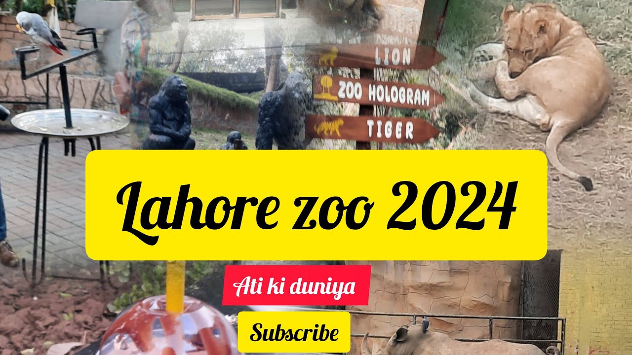 Lahore Zoo 2024/European style zoo in Pakistan/Lahore zoo reopened 2024/Ati ki duniya/