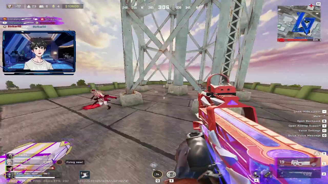 Kibitz Live Stream