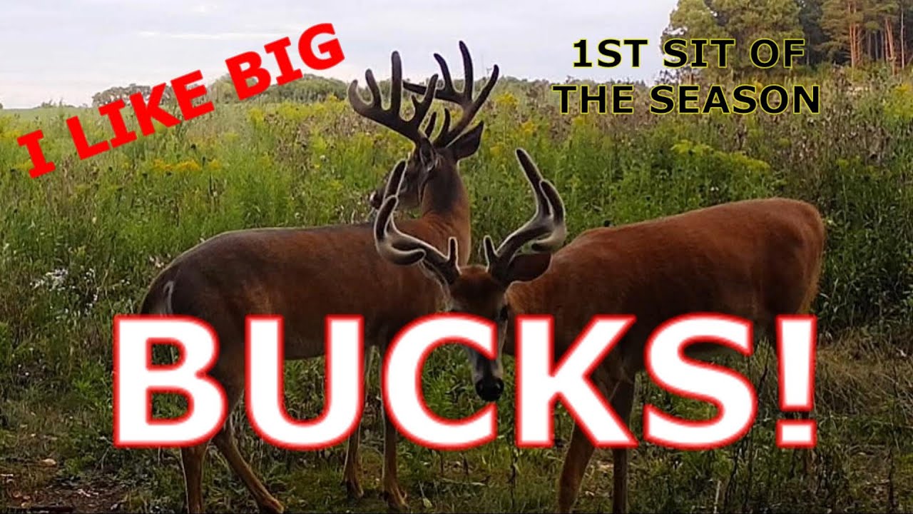 WISCONSIN BOW HUNT EARLY SEASON| FIRST TIME OUT!