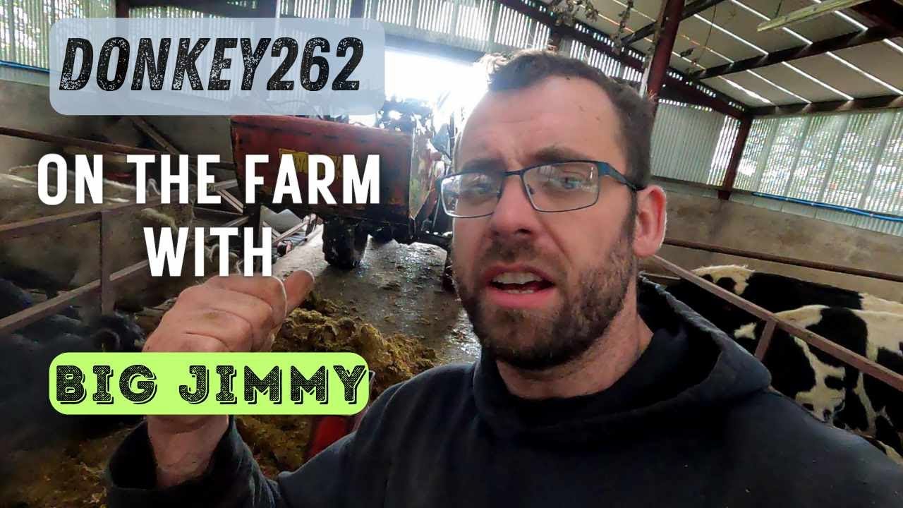 DONKEY262 - Убираем зверей на зиму