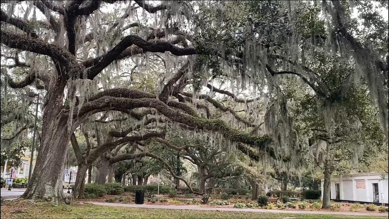 Sunday Stroll 259 - Kathryn Lovewell at Forsyth Park - PART 1, Savannah, Georgia, USA