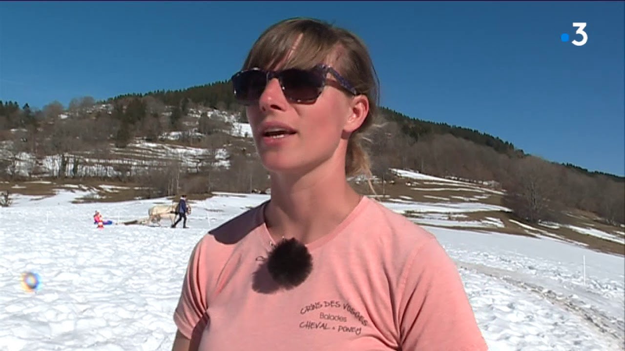 Le ski-joëring : une autre façon d'aborder la montagne !