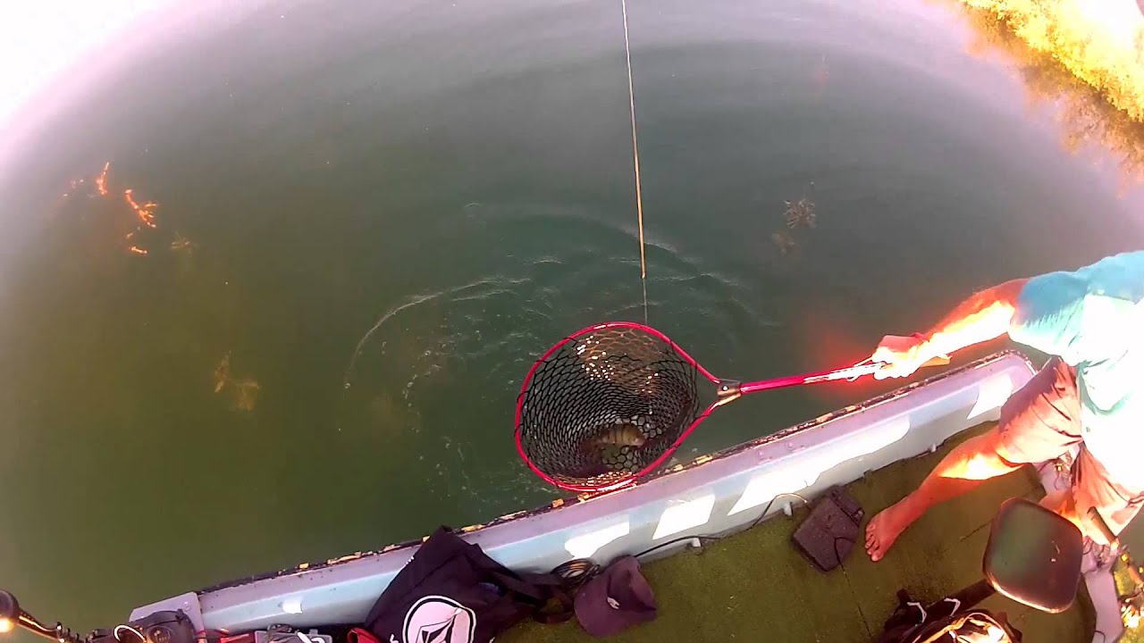 BEST OF Pêche Carnassier 2014 [HD]