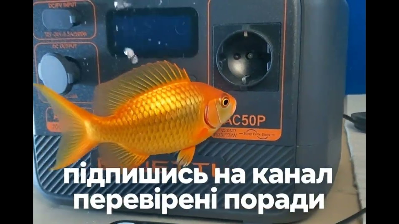 Зарядна станція не заряджається. Як це виправити реальні рішення.