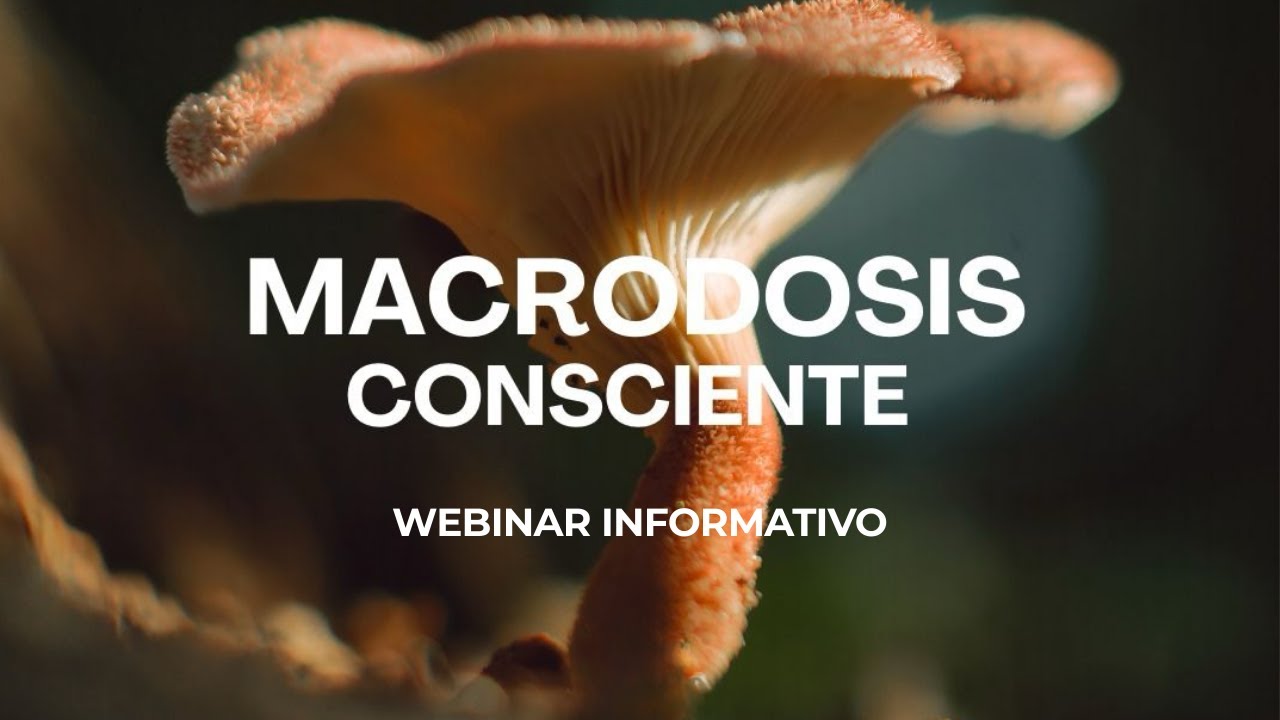 MACRODOSIS CONSCIENTE | Medicinas Ancestrales – Webinar Informativo