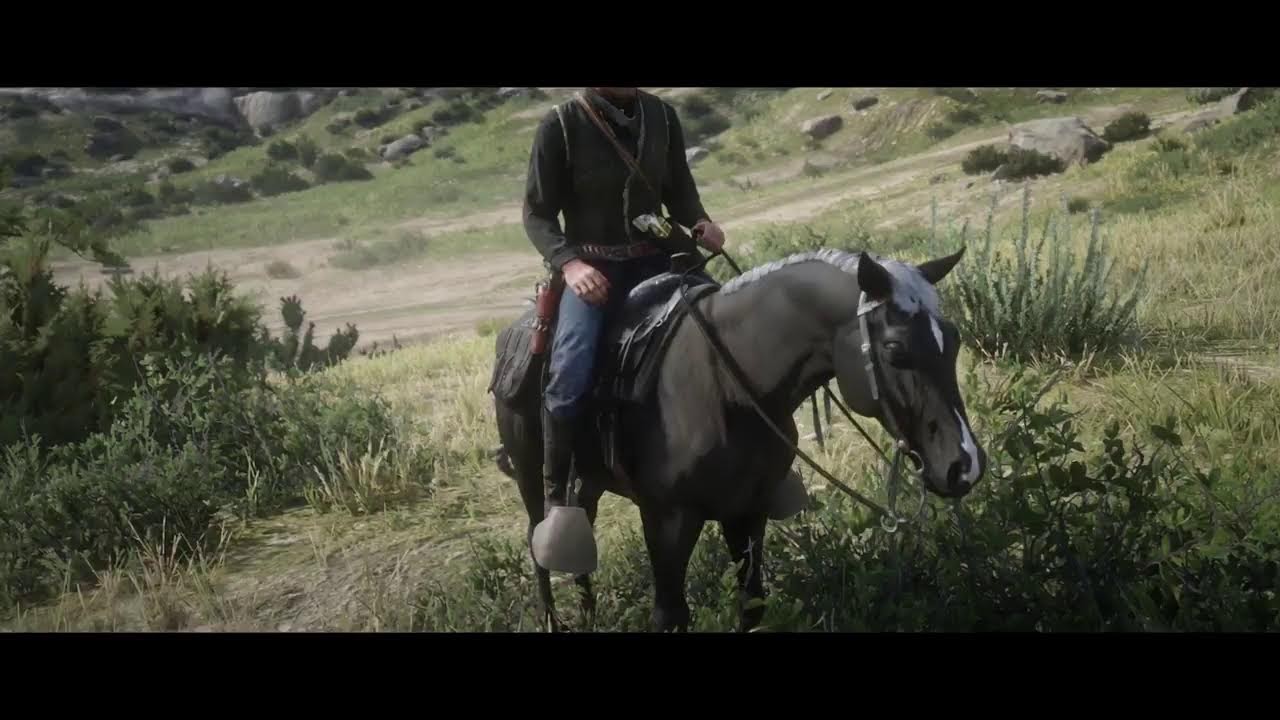 RDR2 STORY