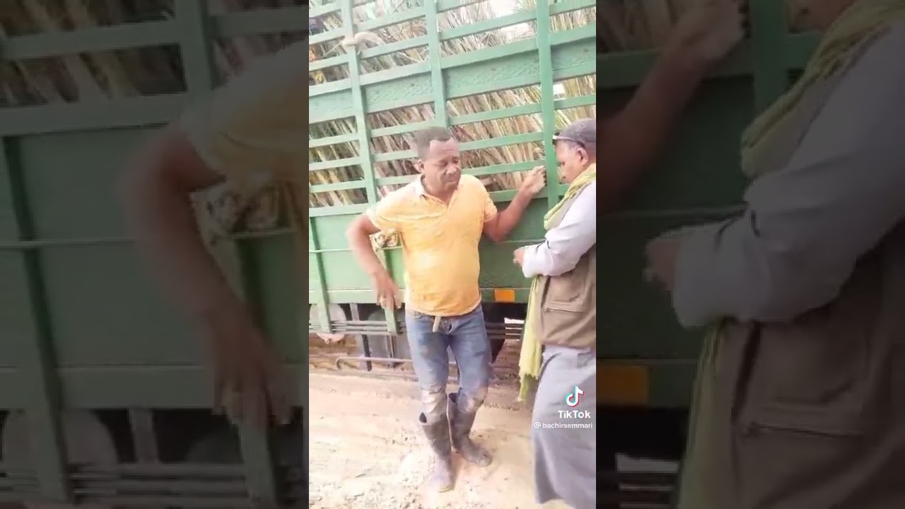 البدي كعبة فريدة وقت الجبار قالو نورمالمون تزيدني 100 من عندك 😂😂😂تشبع ضحك