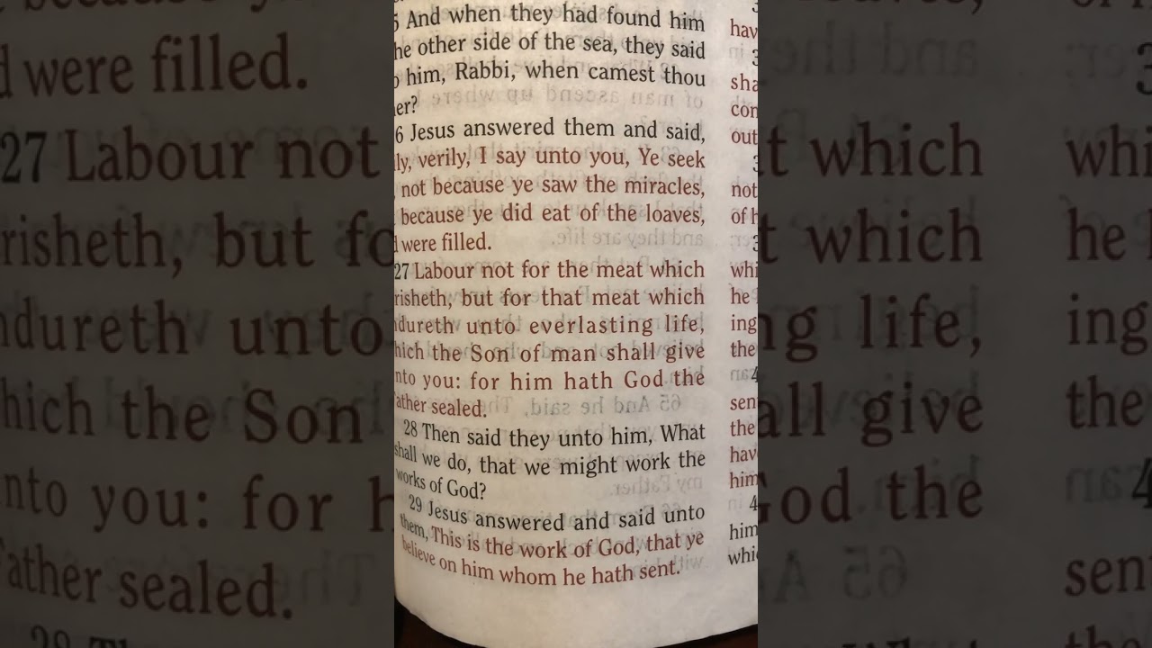 John 6, King James Version.