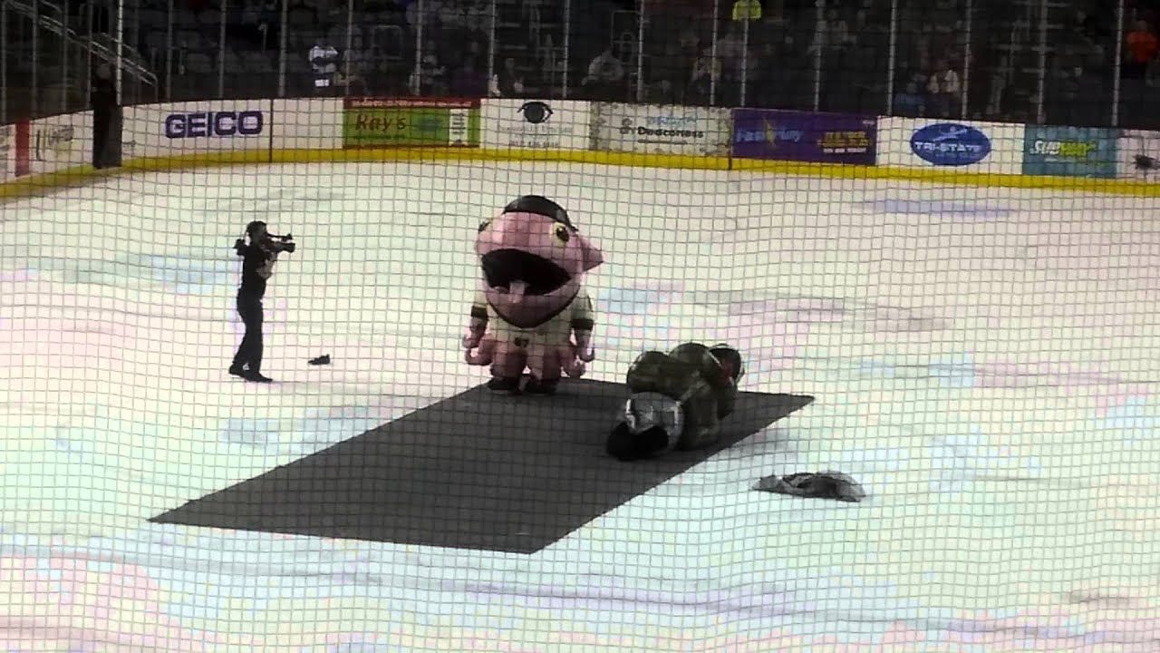 The Zooperstars