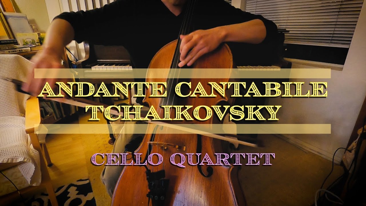 Andante Cantabile -Tchaikovsky