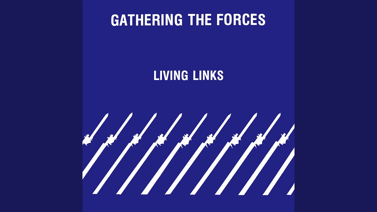 Gathering The Forces
