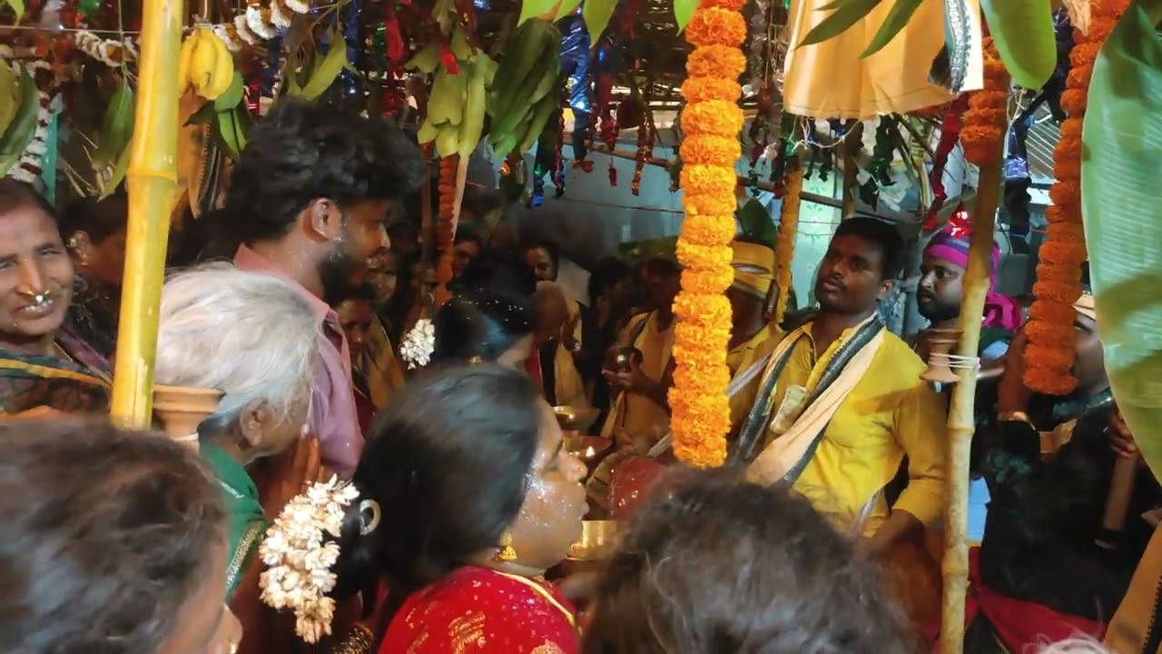 Newali Pata Shatrughana Dasudu || At Depunapodda Village #6370025629 