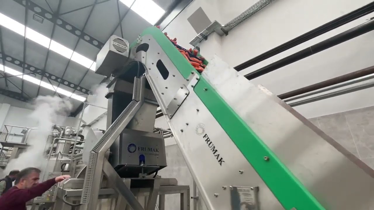 Frumak |Havuç İşleme Hattı (Carrot Processing Line)