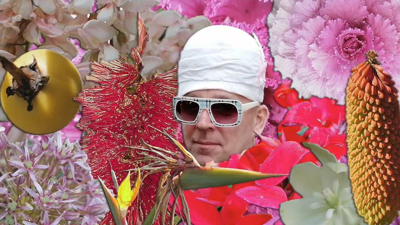 #Alexandr #Stein   #Mi_Piace #Мне #нравится #2020