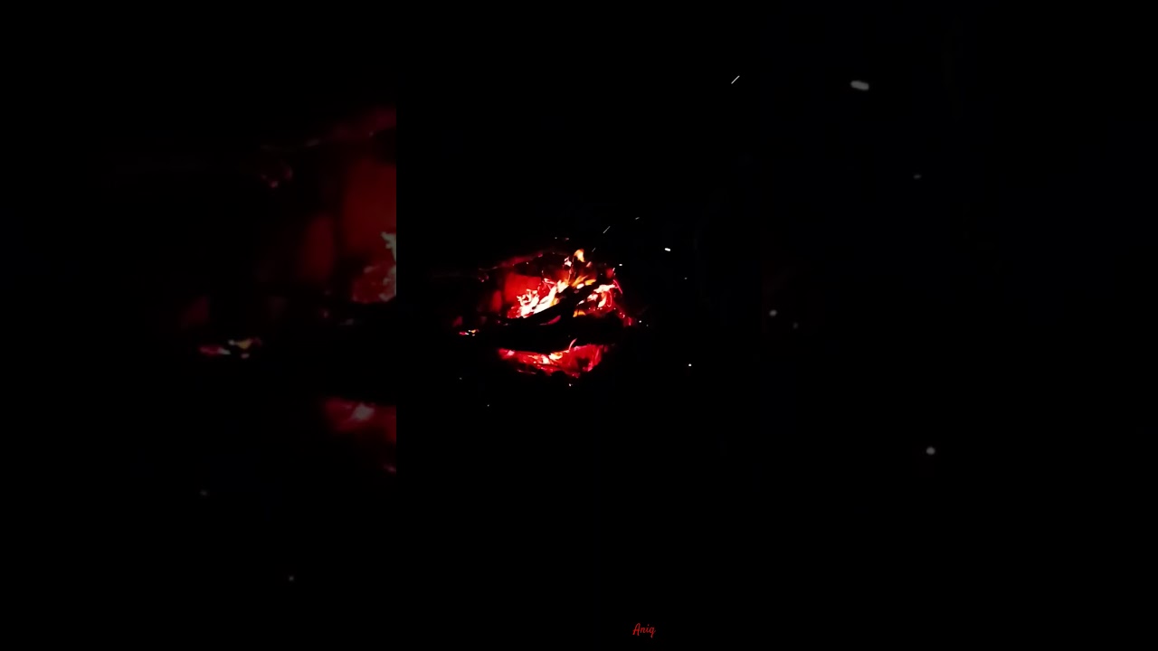 Ultimate Cozy Winter Ambience with Fireplace & Snow Sounds