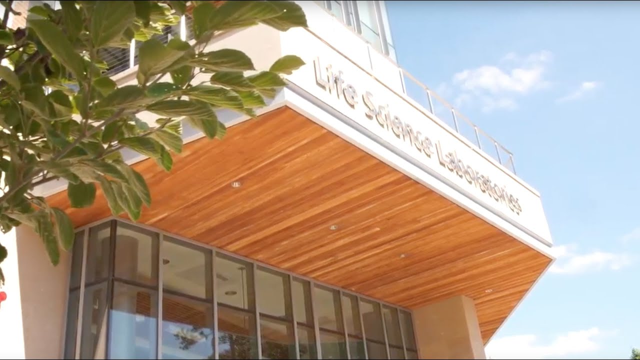 Chemical Engineering at UMass Amherst