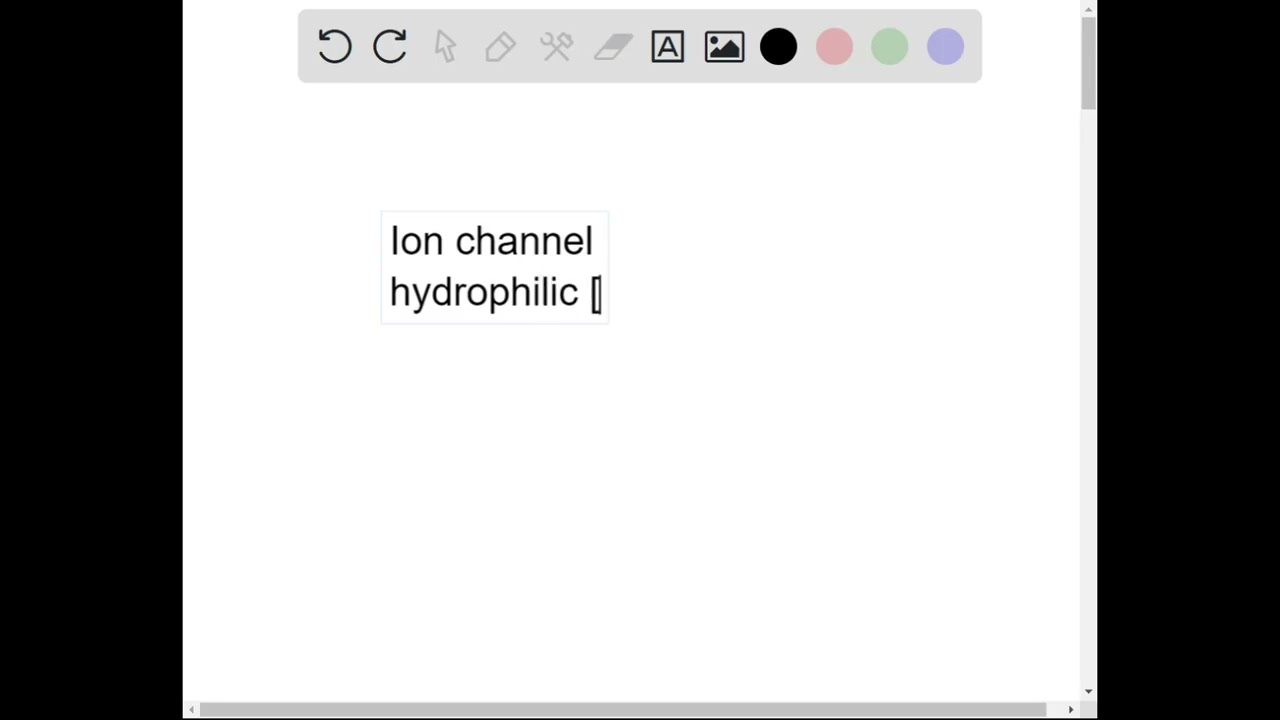 Explain how the structure of an ion channel relates to its function