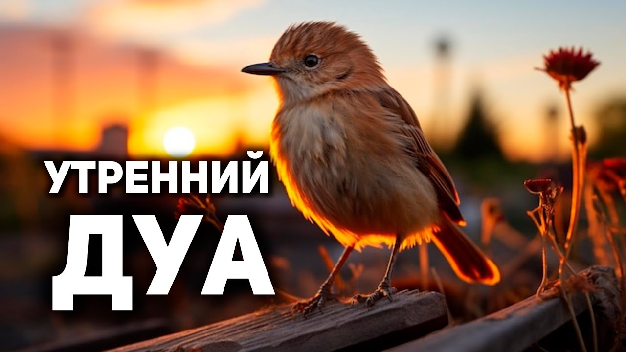 УТРЕННИЙ ДУА أذكار الصباح ЗАЩИТИТЬ ВАС ВЕСЬ ДЕНЬ | СЛУШАЙТЕ КАЖДОЕ УТРО!