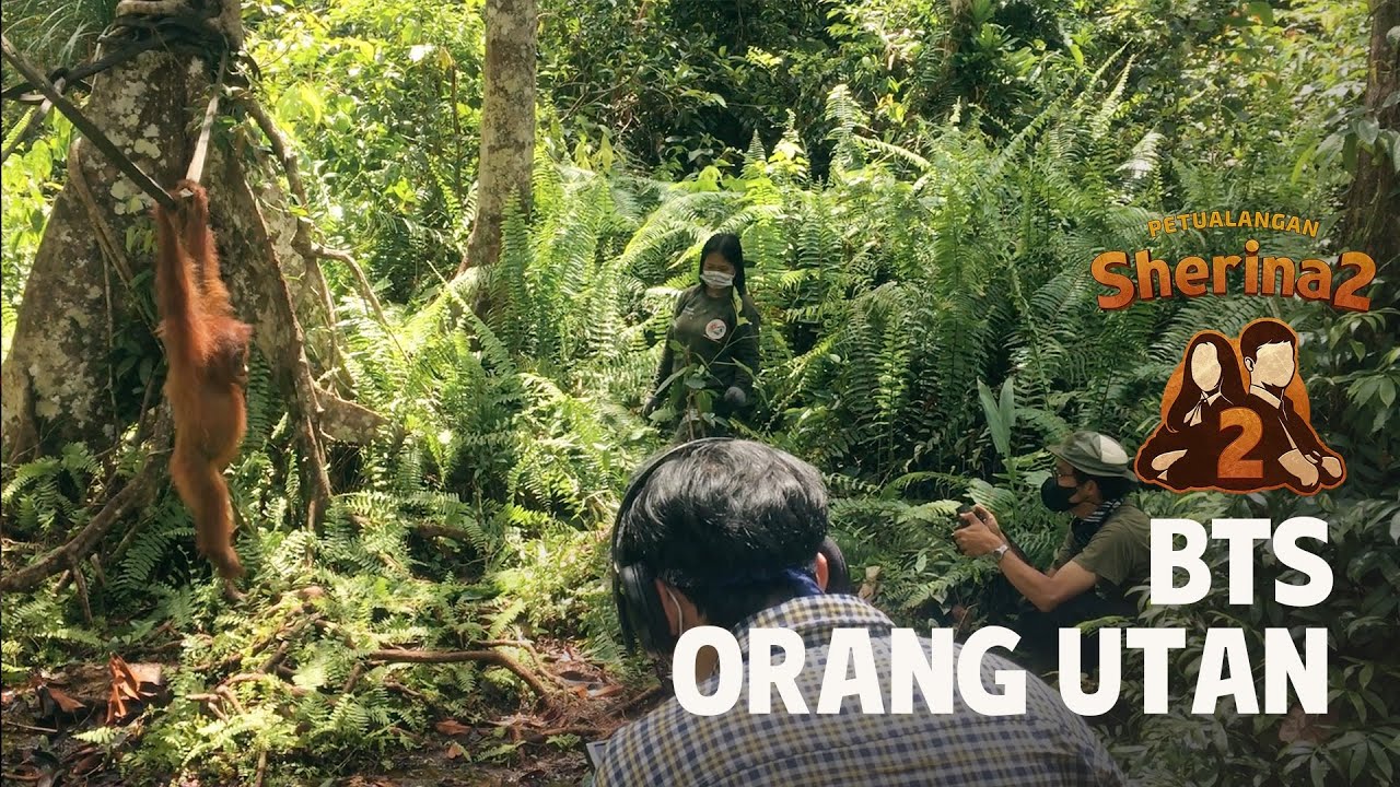 Behind the Scene Orang Utan dan Kalimantan, Awal Inspirasi Cerita #PetualanganSherina 2