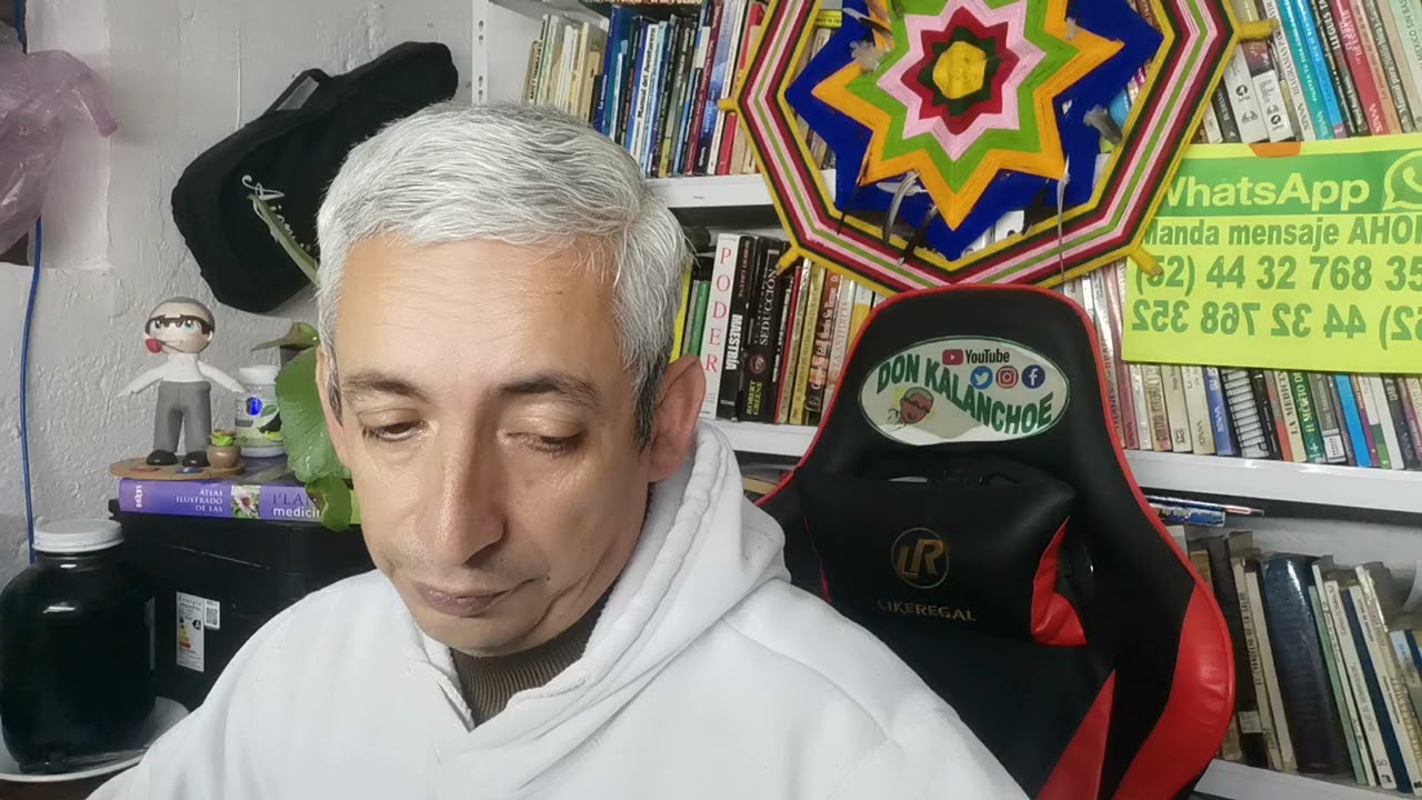 Orígenes de los problemas de pulmones ⭐ MASTER K 3648 💖