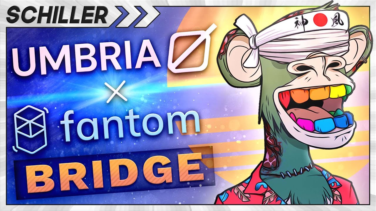 Umbria Networks New Fantom Bridge