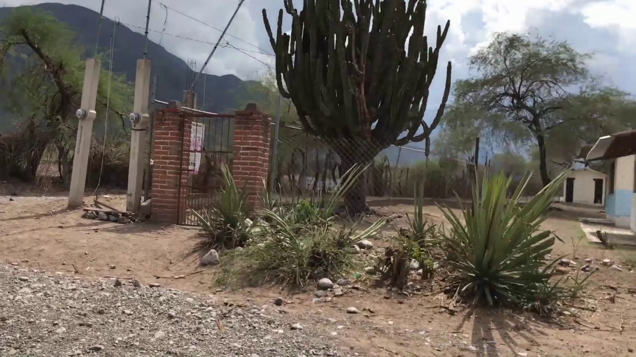 Recorriendo CALLES y SENDEROS, de 