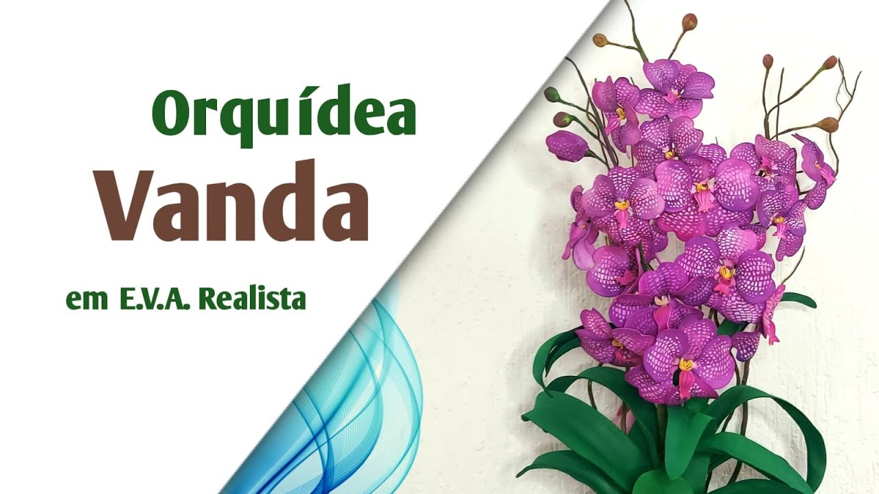 498 - uma LINDA Orquídea Vanda