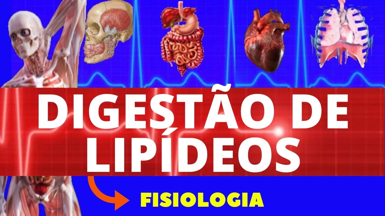 DIGESTÃO DE LIPÍDEOS (FISIOLOGIA DE GUYTON)  - FISIOLOGIA DO SISTEMA DIGESTÓRIO - FISIOLOGIA HUMANA