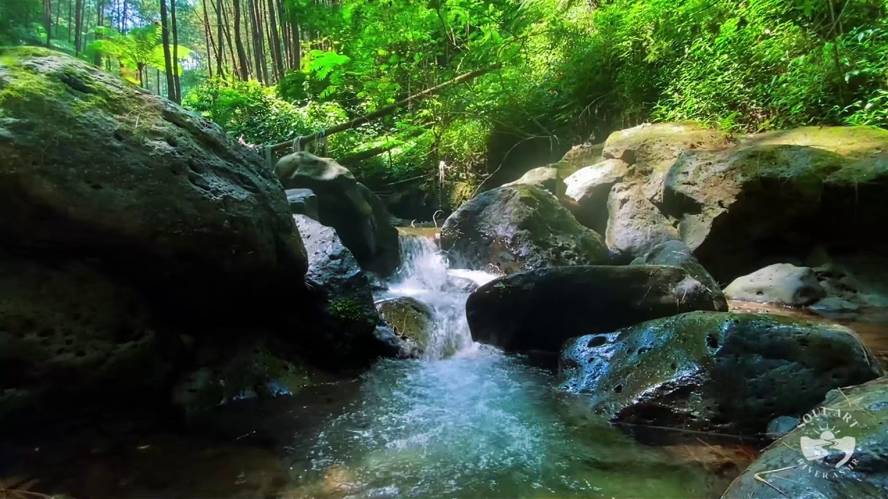 River Sounds & waterfall Sounds for Sleeping | Nature Stream for Relaxing & Stress Relief. #river 4