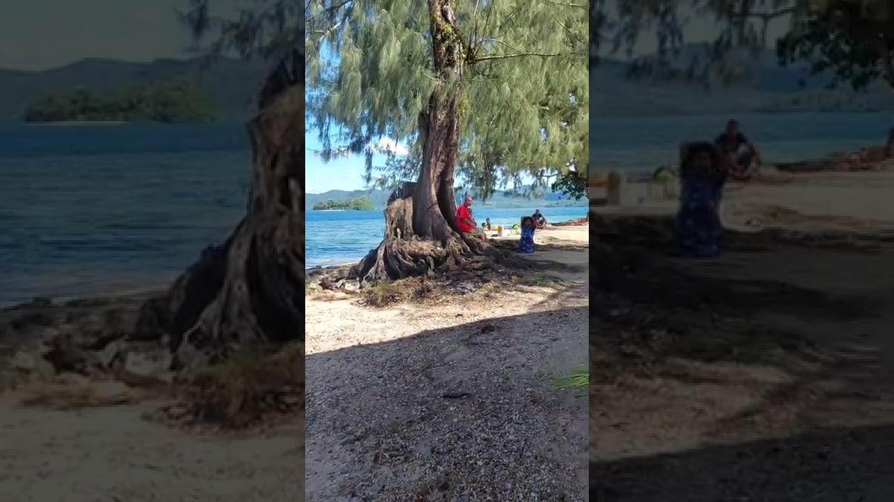 JAMMING AT SAMARAI (THE HISTORICAL ISLAND) BY KAILOGEA BAND.