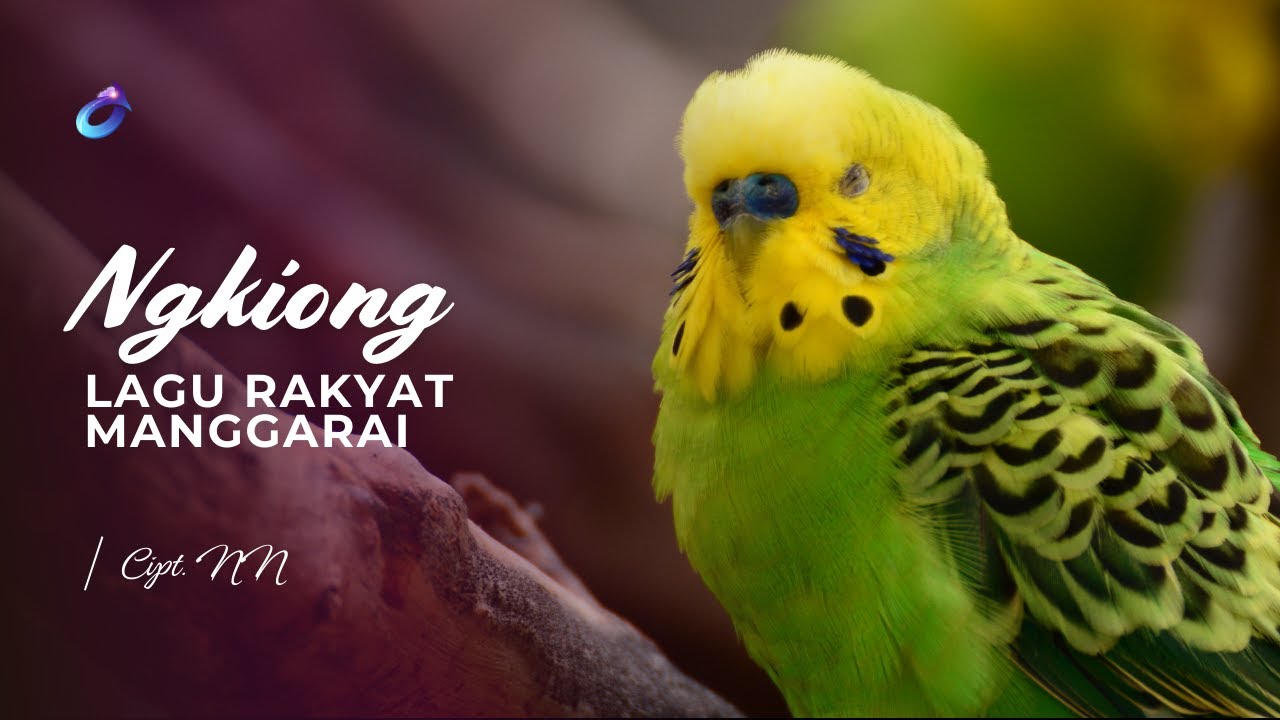 Ngkiong | Lagu Rakyat Manggarai | Reggae Version