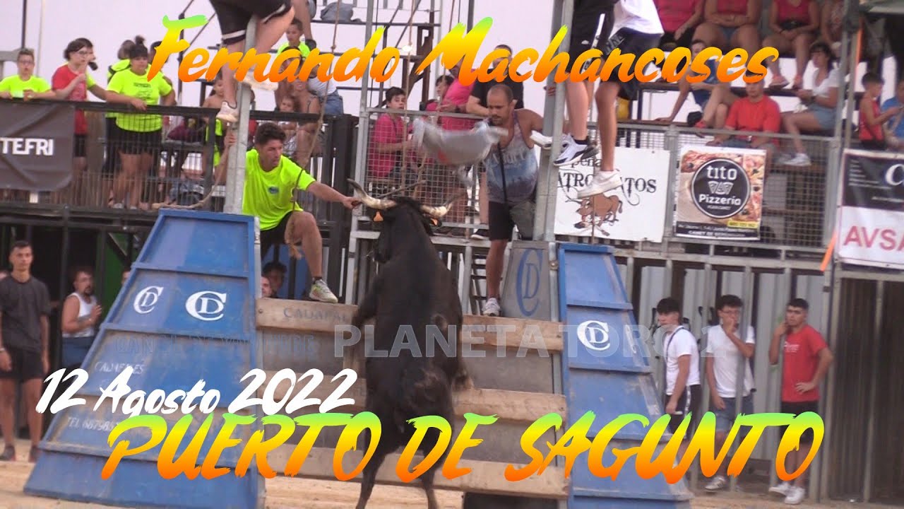 2022 08 12 PUERTO DE SAGUNTO FERNANDO MACHANCOSES